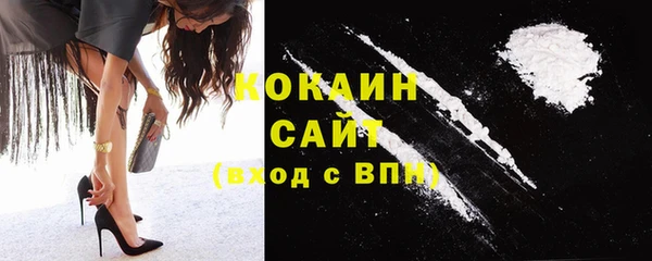 прущие грибы Абинск
