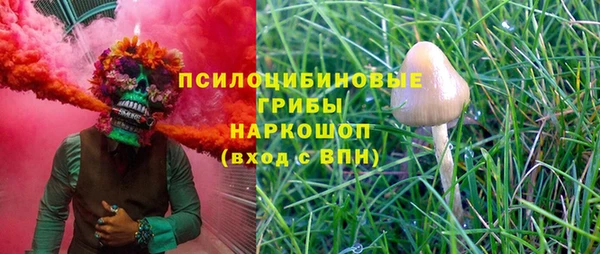 дурь Дмитриев