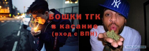 мдпв Дмитров
