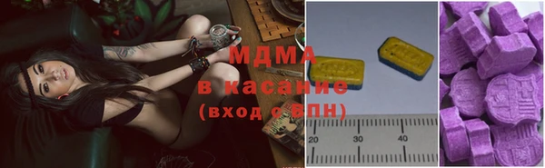 прущие грибы Абинск