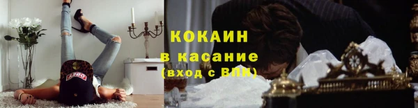 прущие грибы Абинск