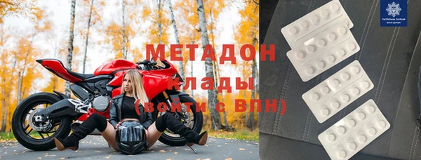 прущие грибы Абинск