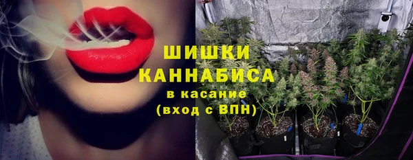 дурь Дмитриев