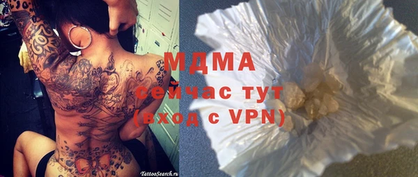 прущие грибы Абинск