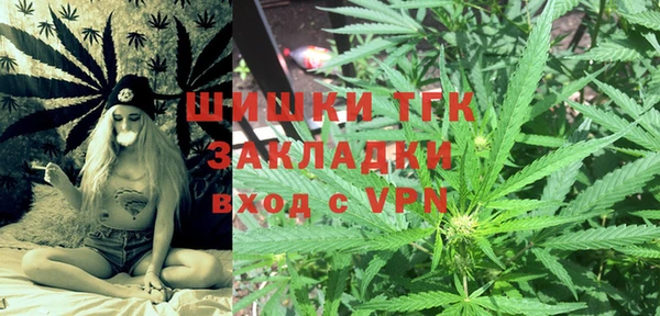 прущие грибы Абинск