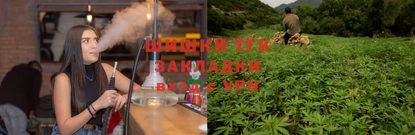 прущие грибы Абинск